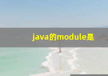 java的module是