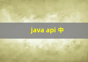 java api 中