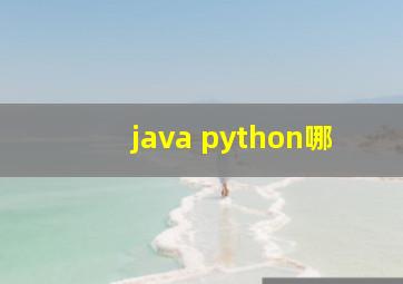 java python哪