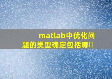matlab中优化问题的类型确定包括哪�
