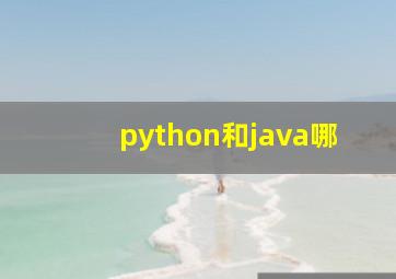 python和java哪