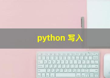 python 写入