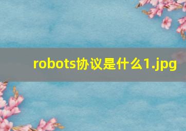 robots协议是什么