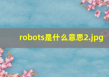 robots是什么意思