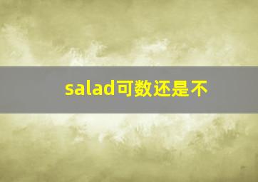 salad可数还是不