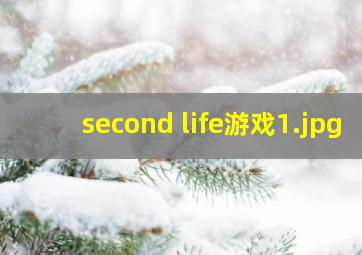 second life游戏