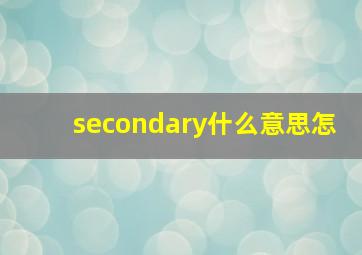 secondary什么意思怎