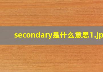 secondary是什么意思