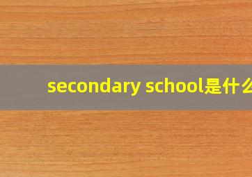 secondary school是什么