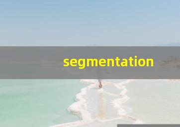segmentation