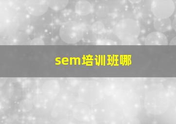 sem培训班哪