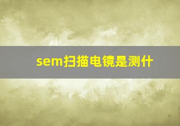 sem扫描电镜是测什