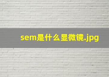 sem是什么显微镜