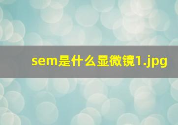 sem是什么显微镜