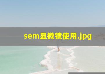 sem显微镜使用