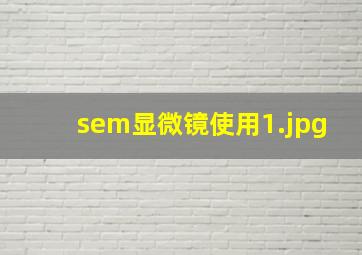 sem显微镜使用