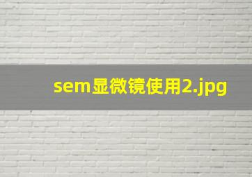 sem显微镜使用