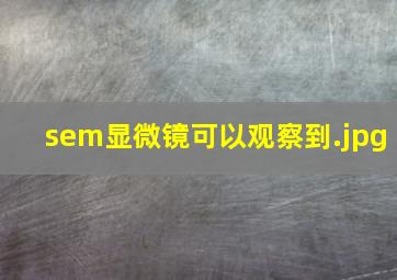 sem显微镜可以观察到