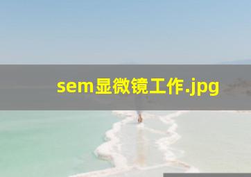 sem显微镜工作