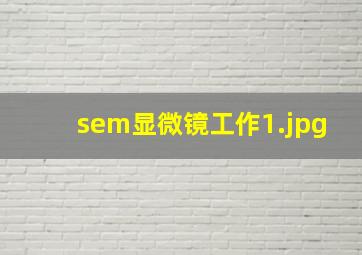 sem显微镜工作