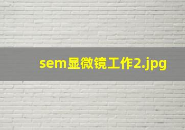 sem显微镜工作