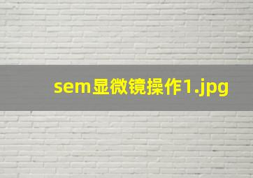 sem显微镜操作
