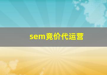 sem竞价代运营