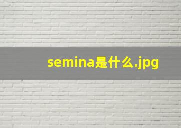 semina是什么