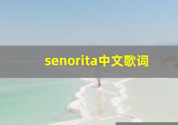 senorita中文歌词