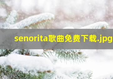senorita歌曲免费下载