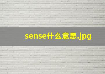 sense什么意思