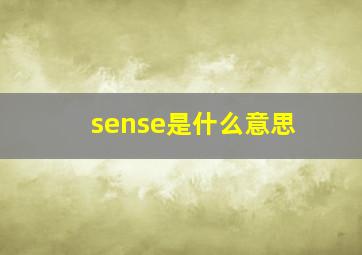 sense是什么意思