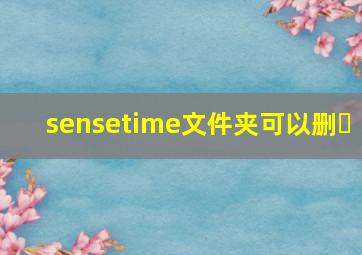 sensetime文件夹可以删�