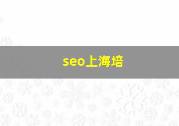 seo上海培