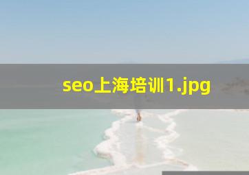 seo上海培训