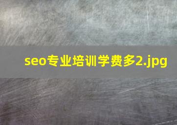 seo专业培训学费多
