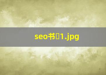 seo书�