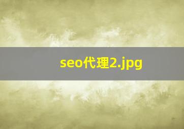 seo代理