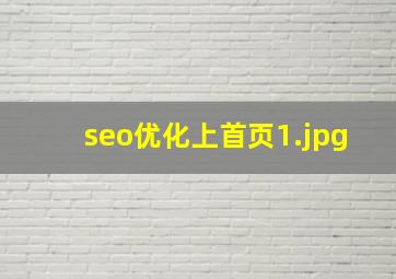 seo优化上首页