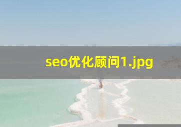 seo优化顾问