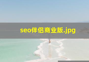 seo伴侣商业版