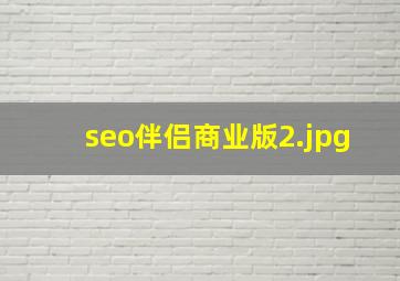 seo伴侣商业版