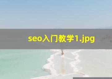 seo入门教学