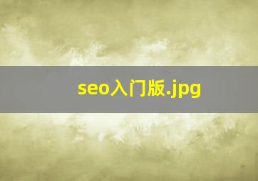 seo入门版