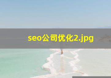 seo公司优化