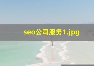 seo公司服务