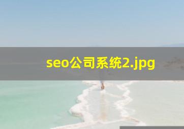 seo公司系统