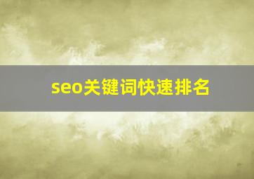 seo关键词快速排名