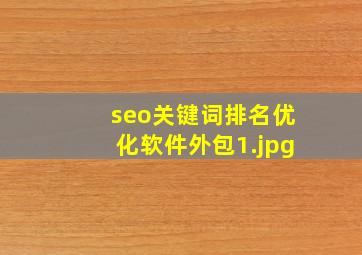 seo关键词排名优化软件外包