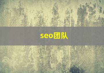 seo团队